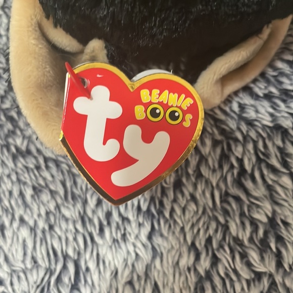 This is a beanie boo! she’s a small little dog that loves to play! - Picture 5 of 6